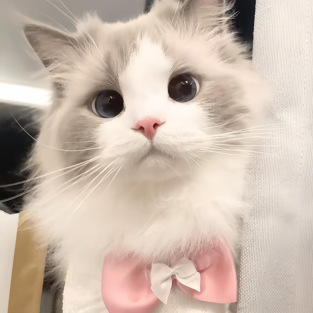 爱哭鬼