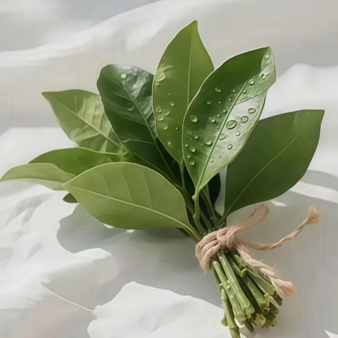 小艳 子