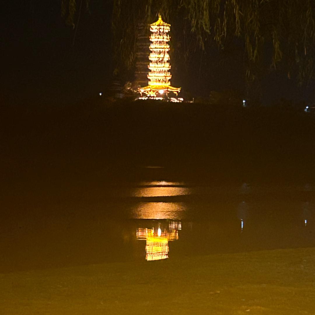 蚂蚁爬洞