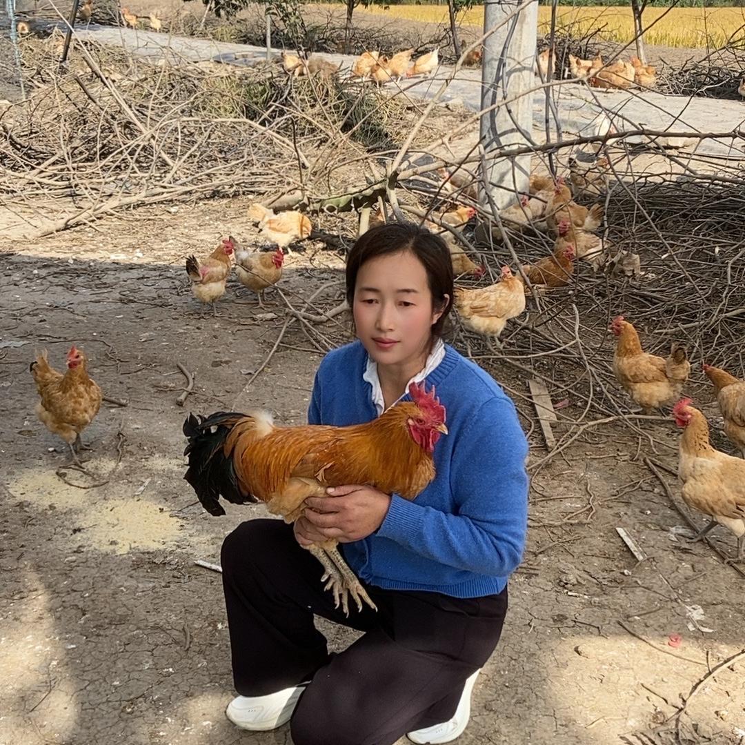 洪泽湖春兰农场