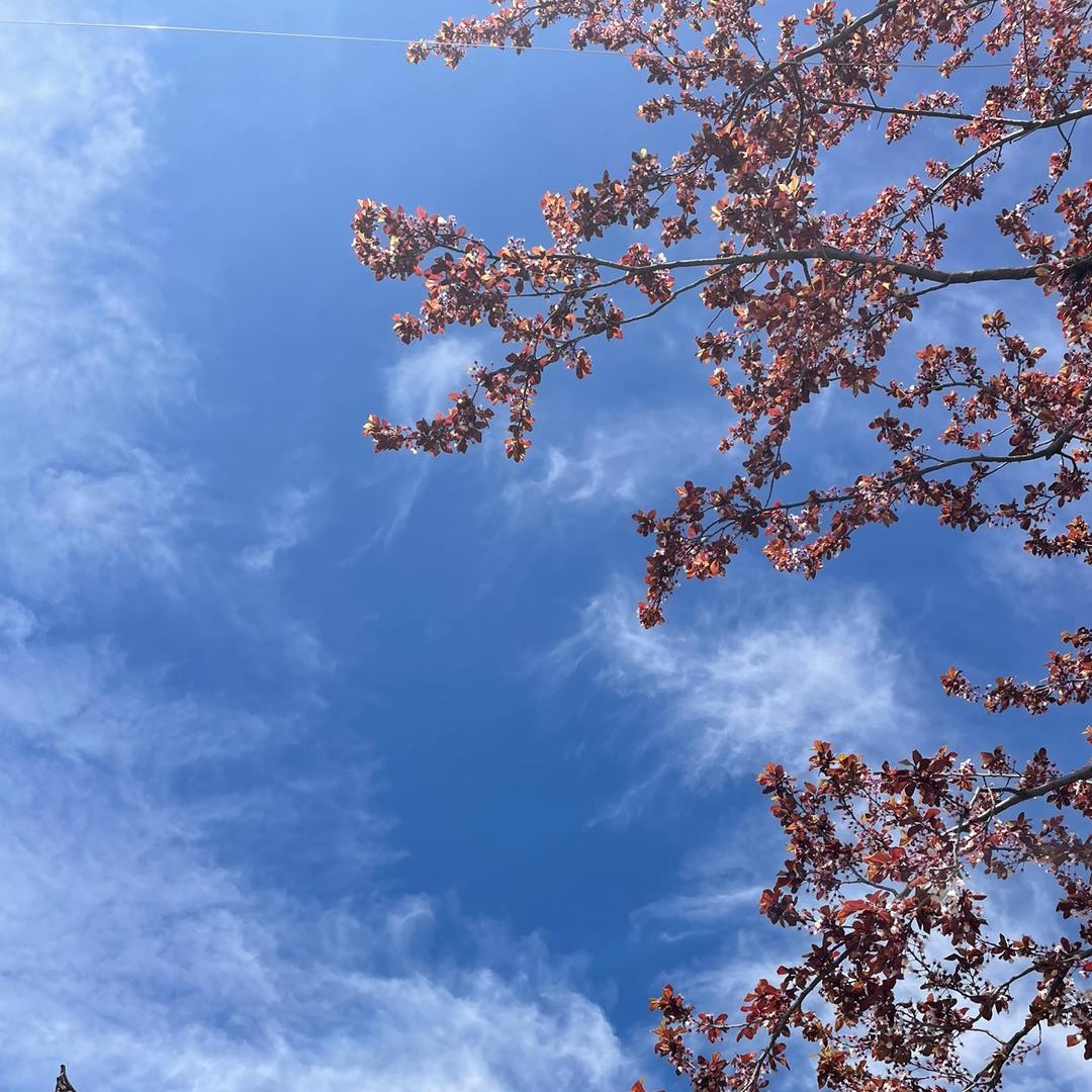 ^_^时间不曾停留^_^