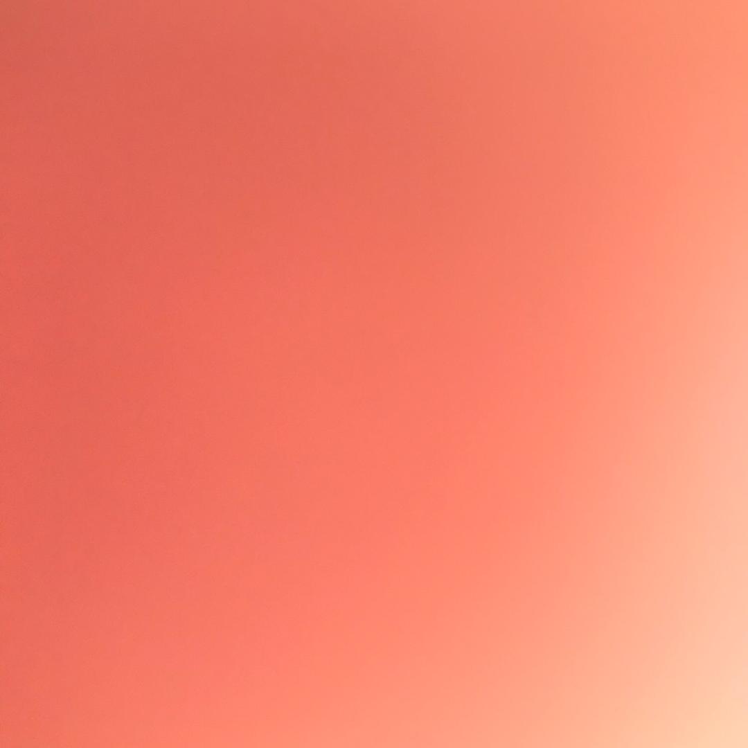 虚构