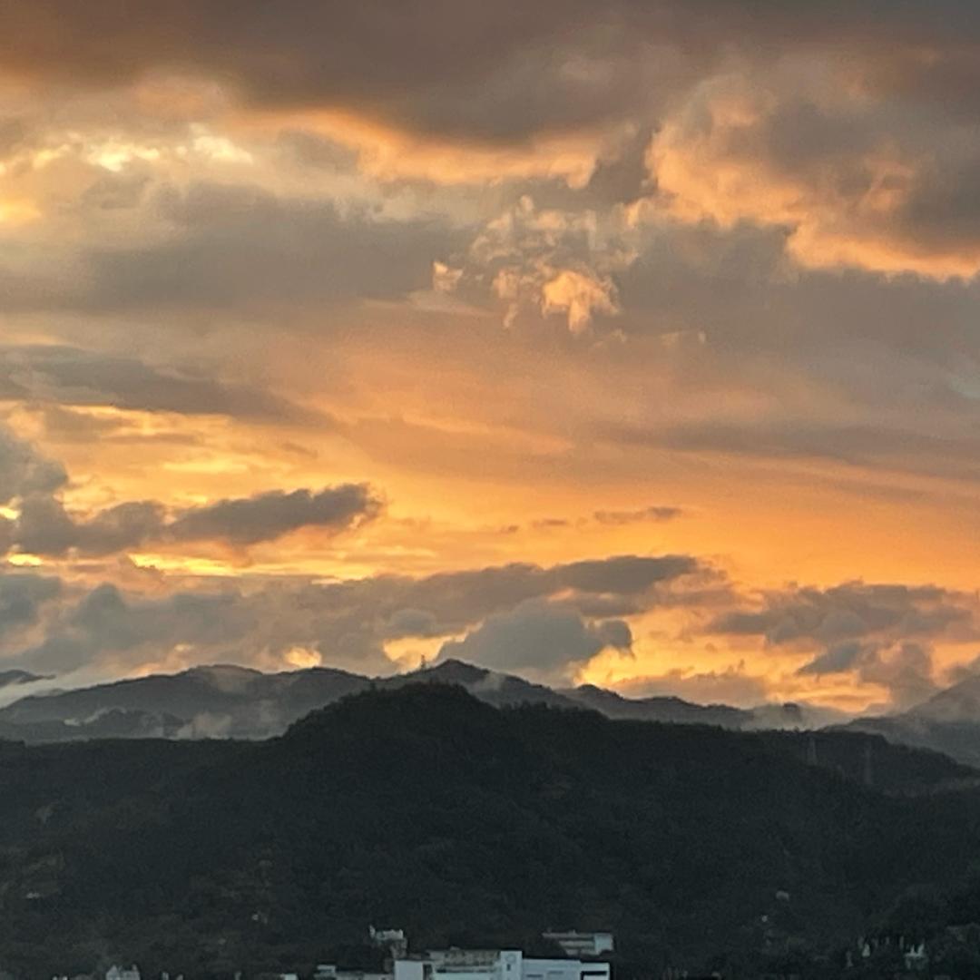 雁南飞