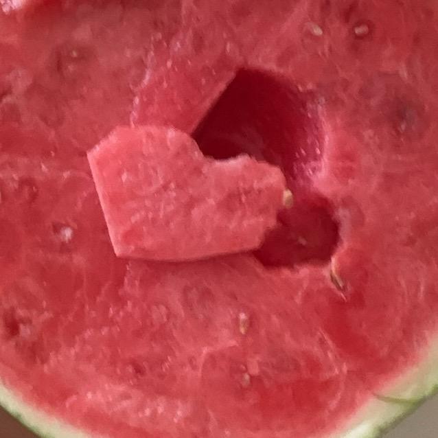 0.01元6大包纸巾