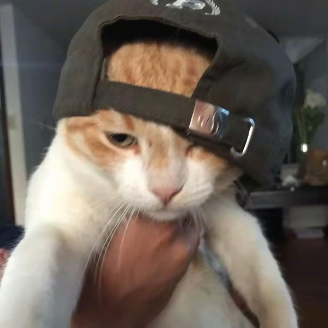 哈维