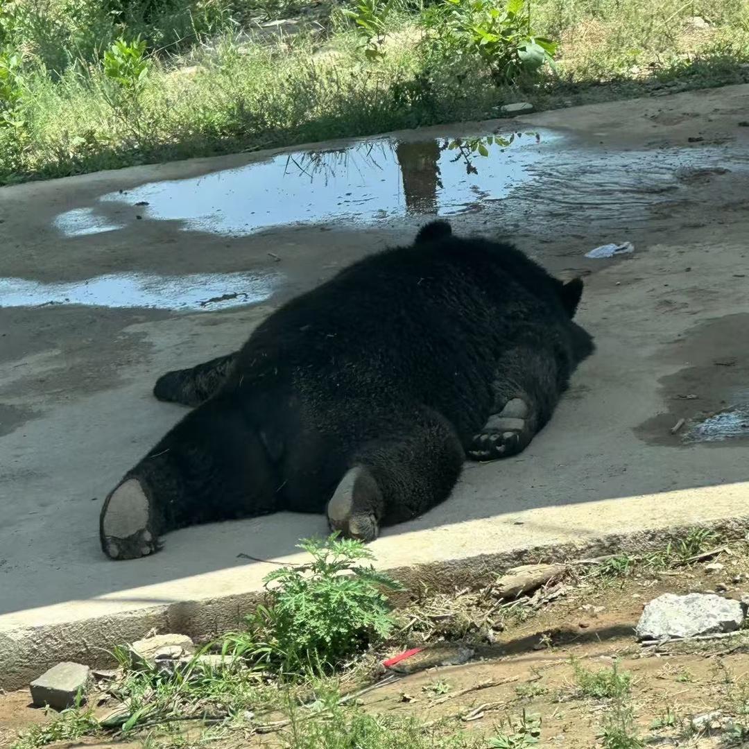 不醒