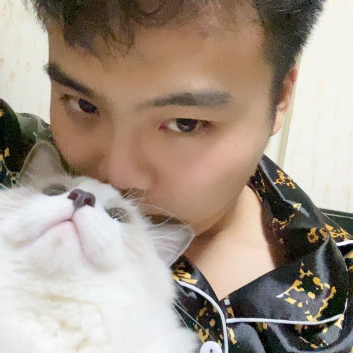 养了只猫叫米线