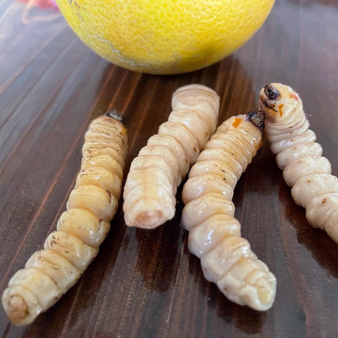 湘农家庭生态农场