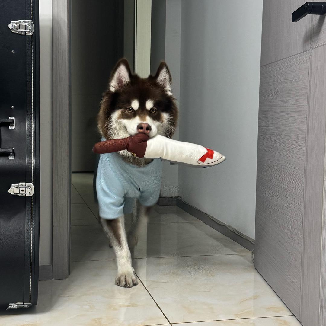 三木蒂