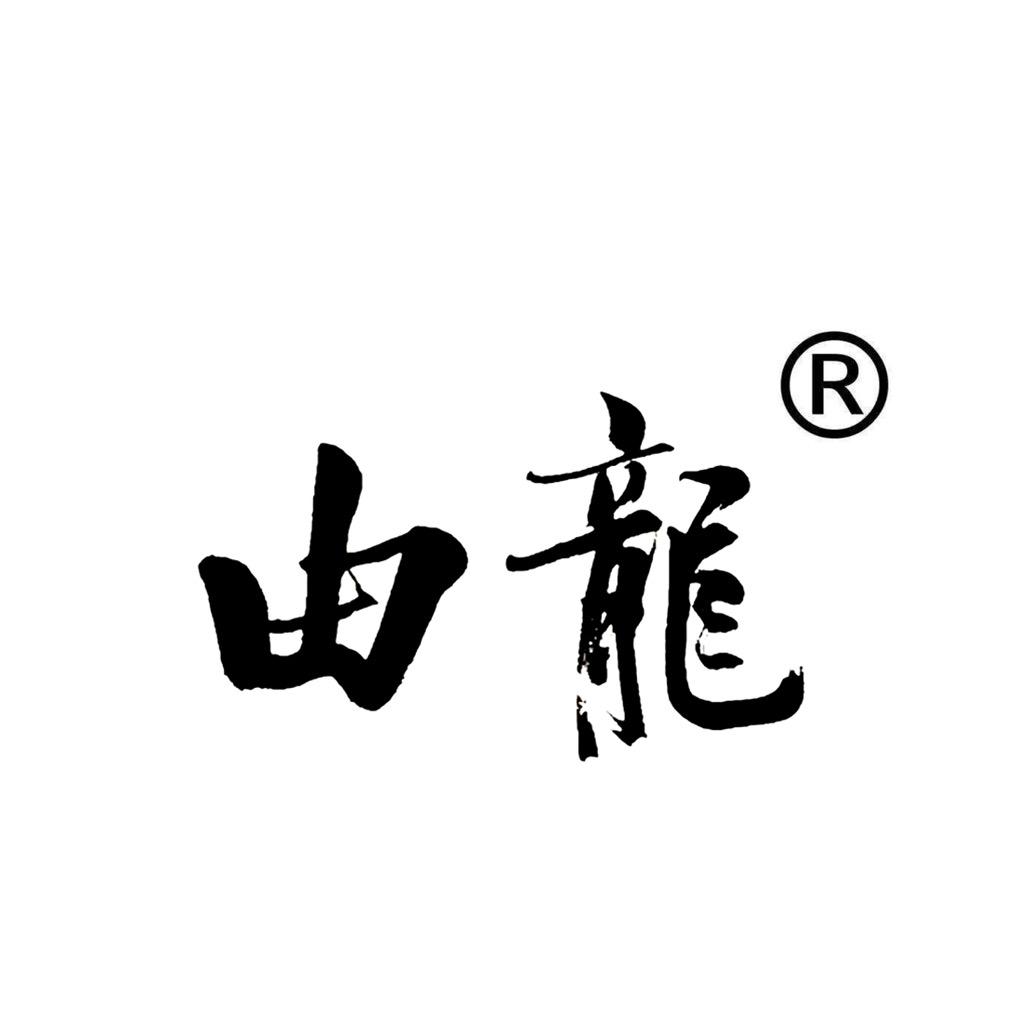 上海由龙纹身