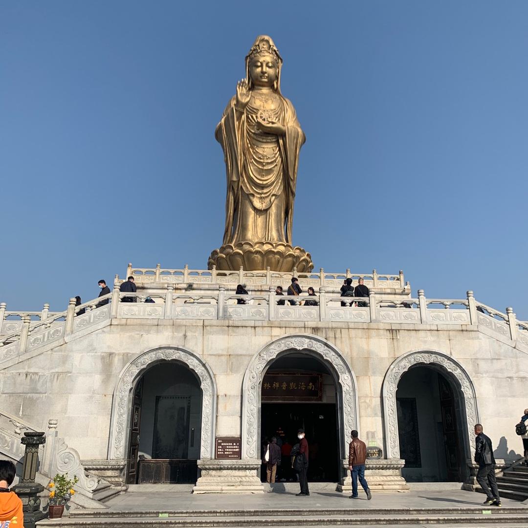 你们的波哥