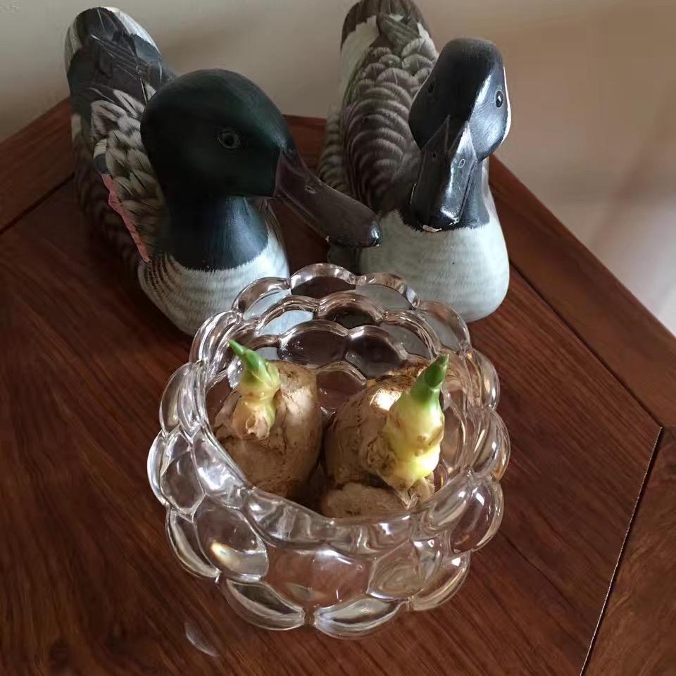 澳均-港澳➕搬砖姐