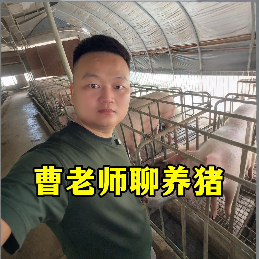 曹老师讲养猪-团队招人