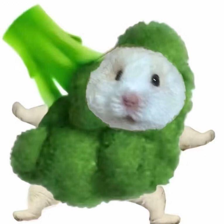 ioio爱吃火锅