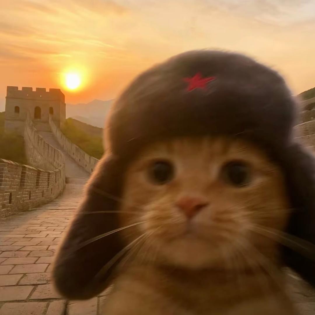 永远叫不醒装睡的人