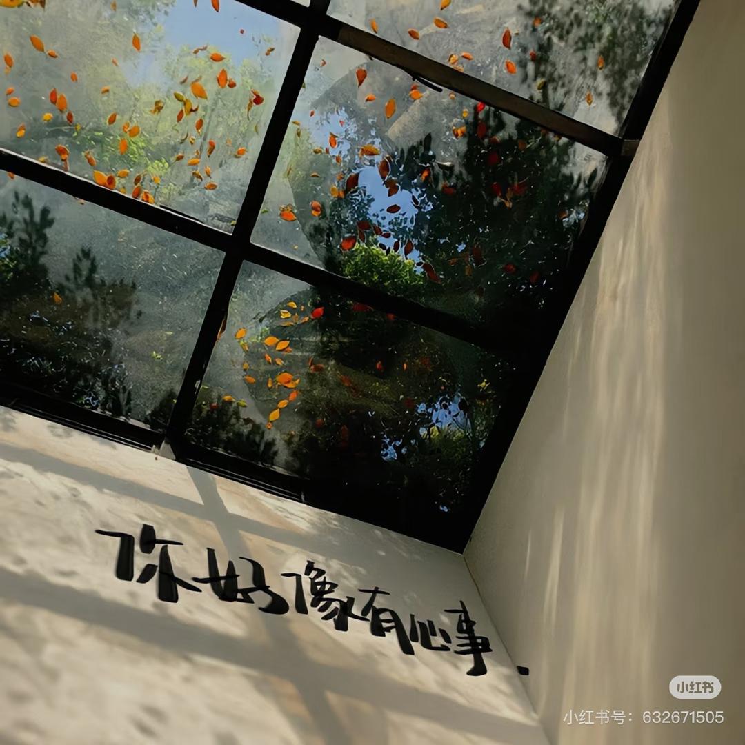 你比晚风温柔