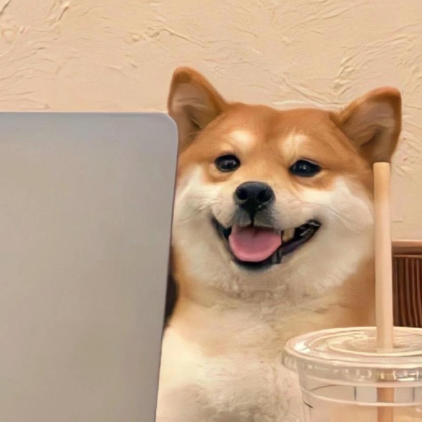 来给生活比个✌️