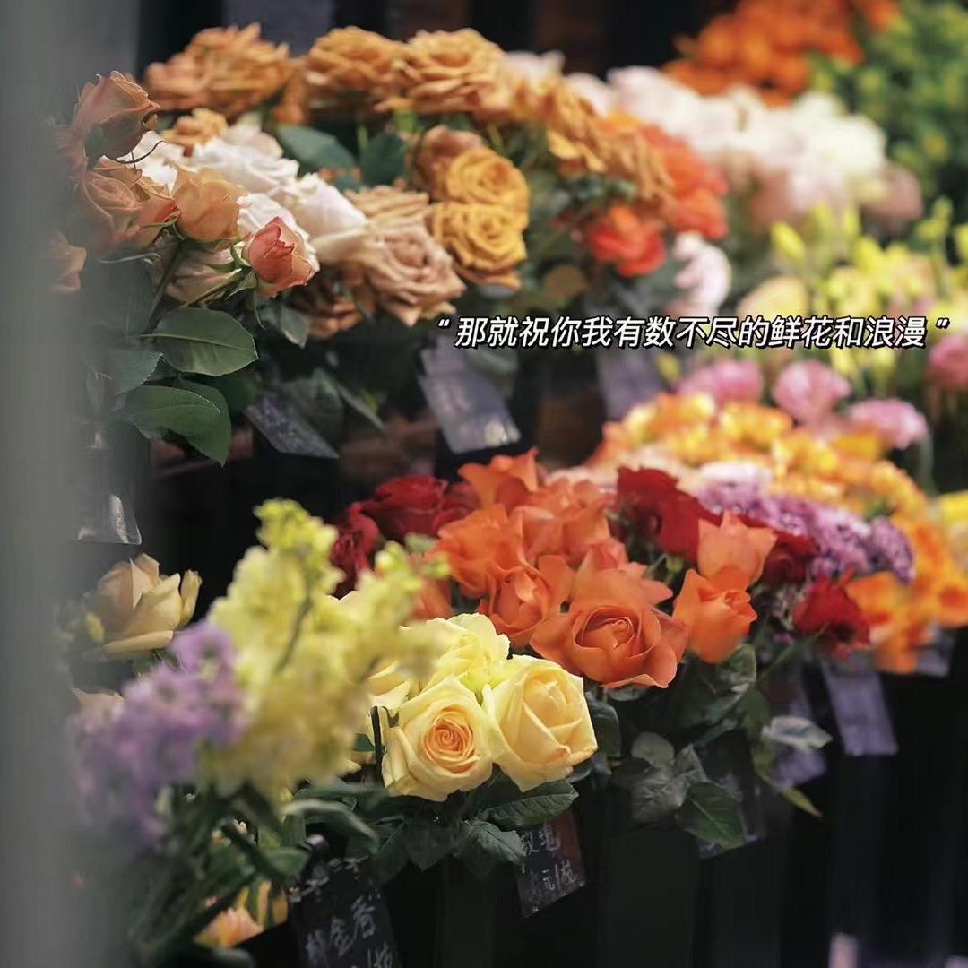 茗伊一