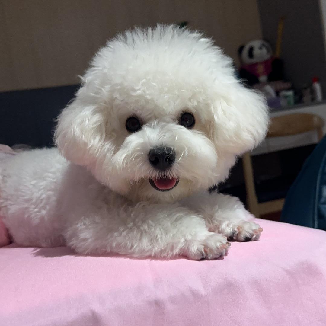 哆尔