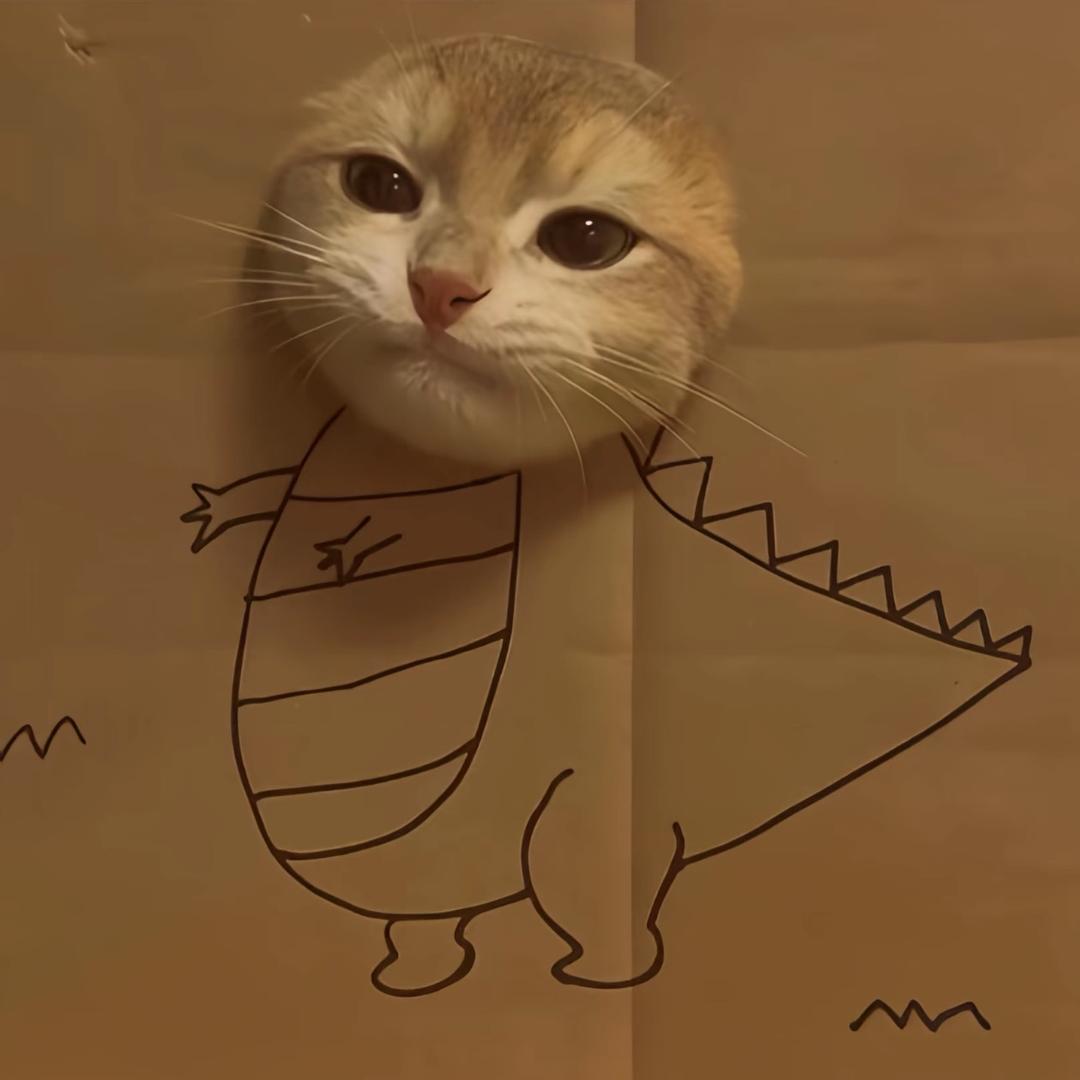 哦哦