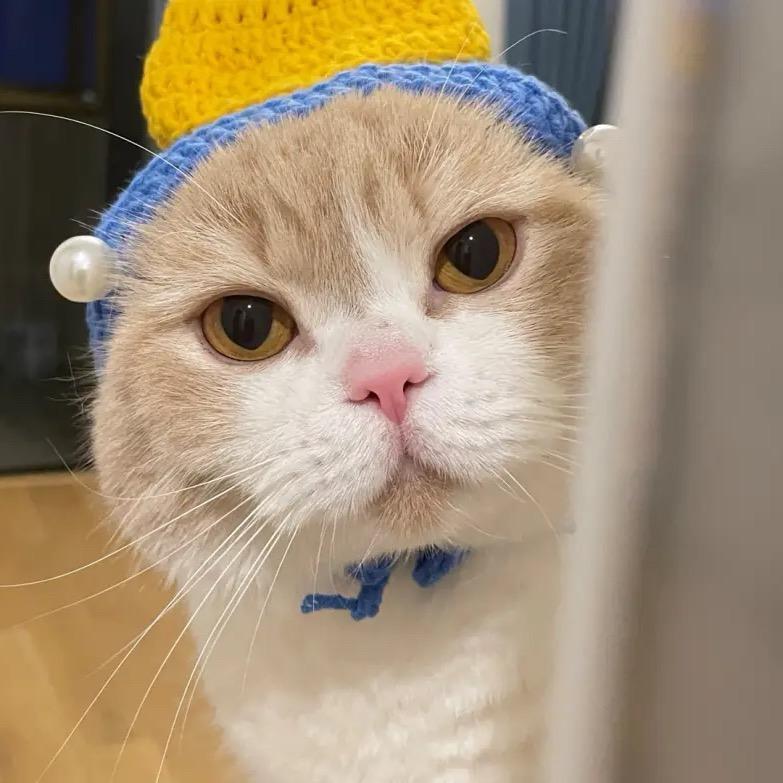 凄凉的汤姆猫