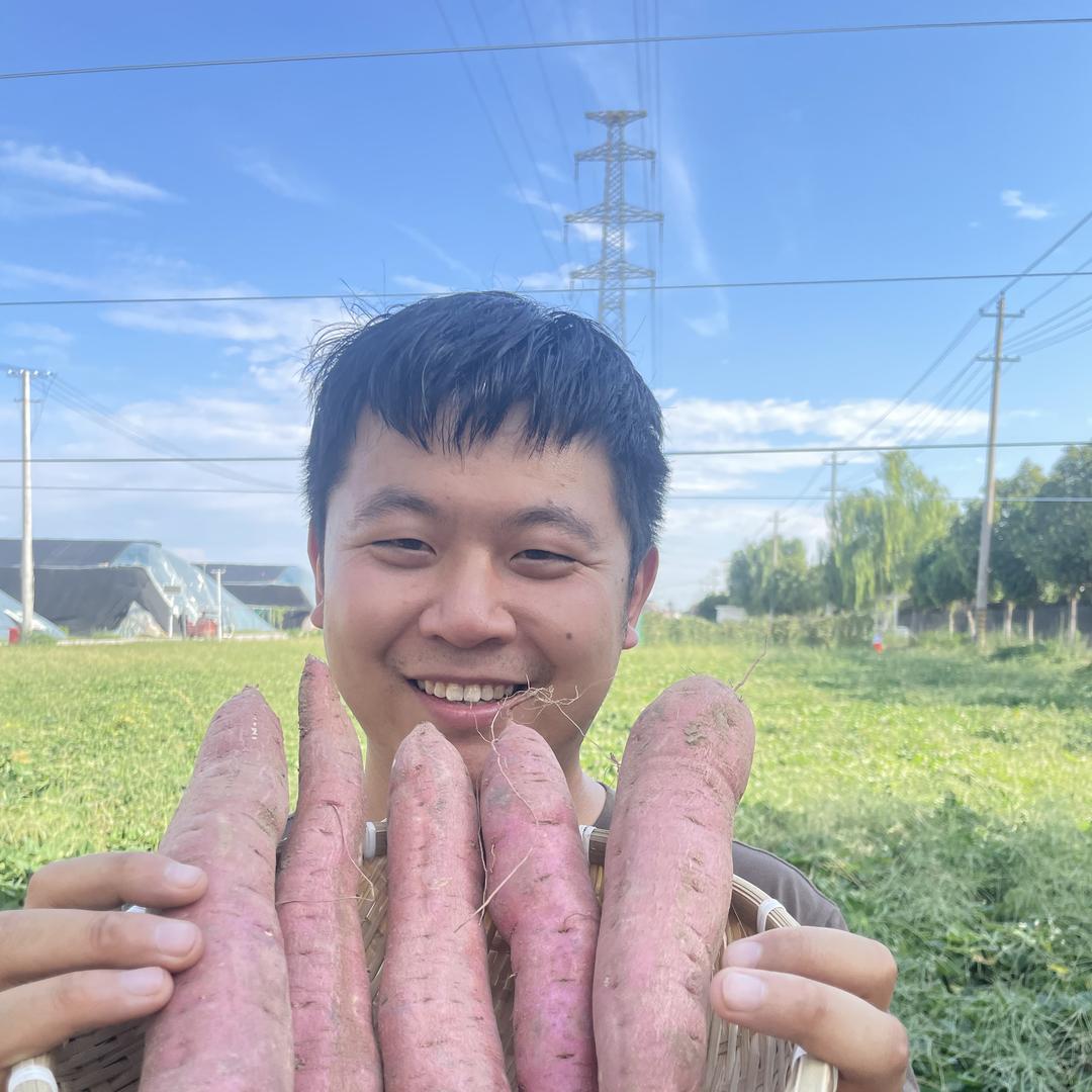 三秦之地