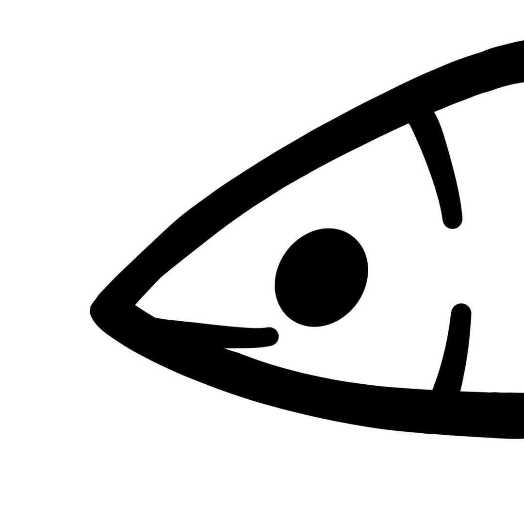 秋刀🐟