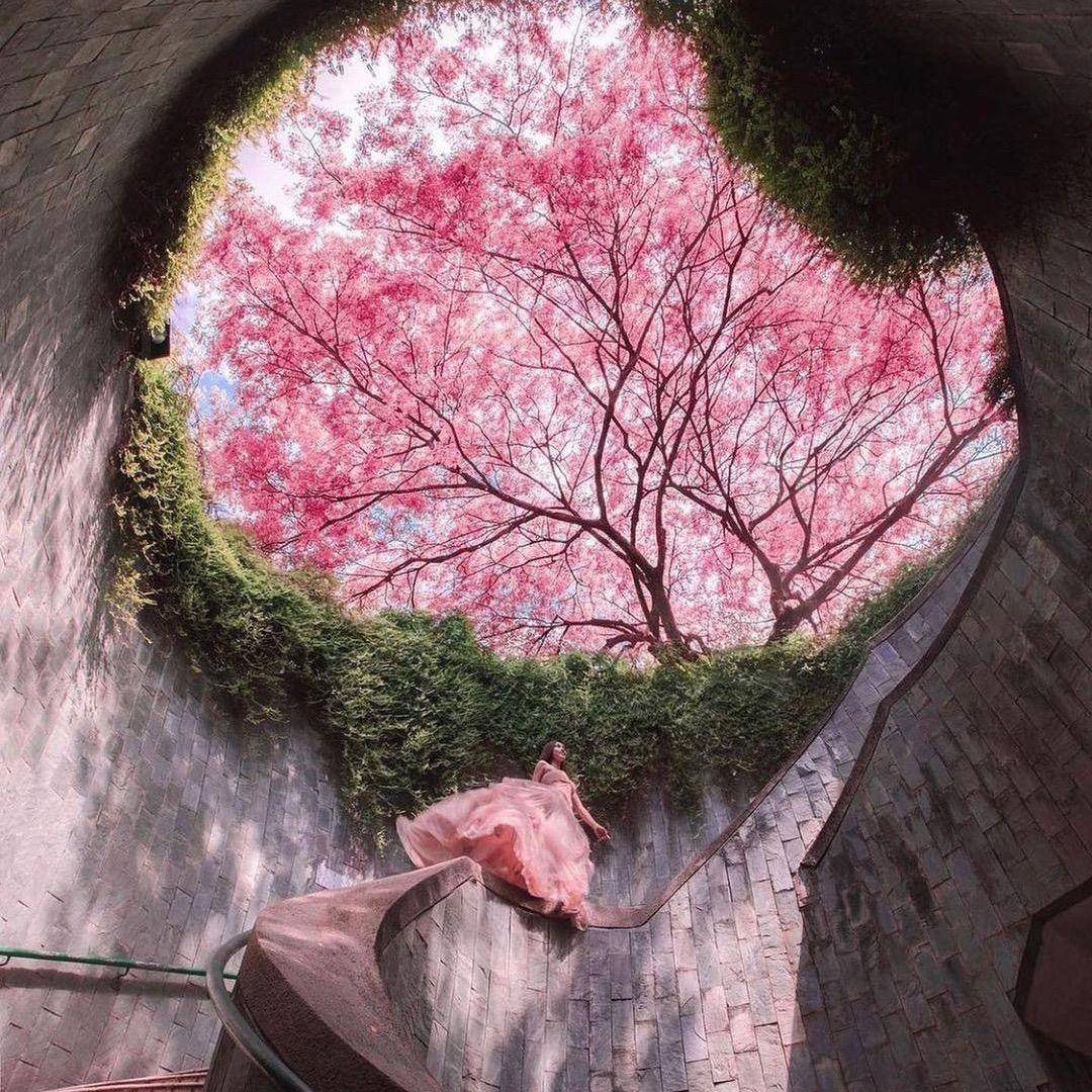 ☆⌒_⌒☆