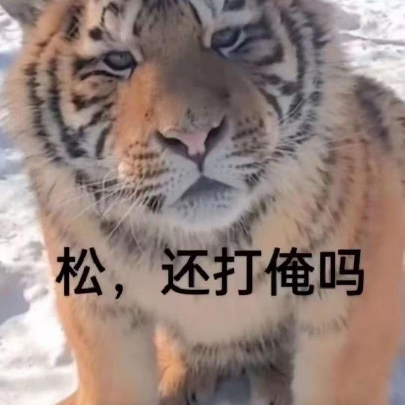 静静dnf纳