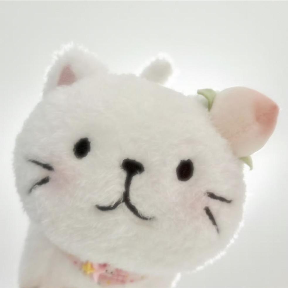 圆圆脸