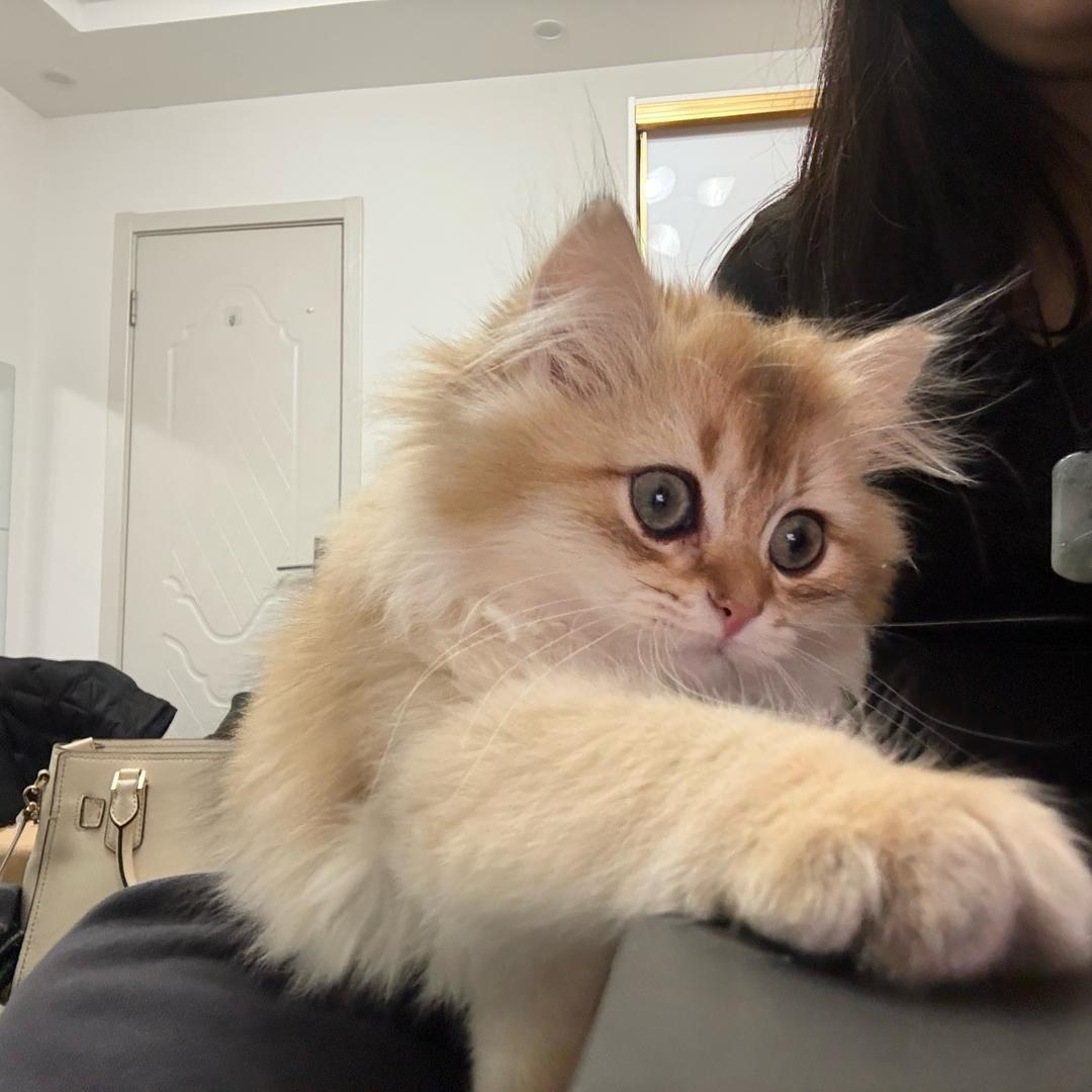 藝來財.🐾
