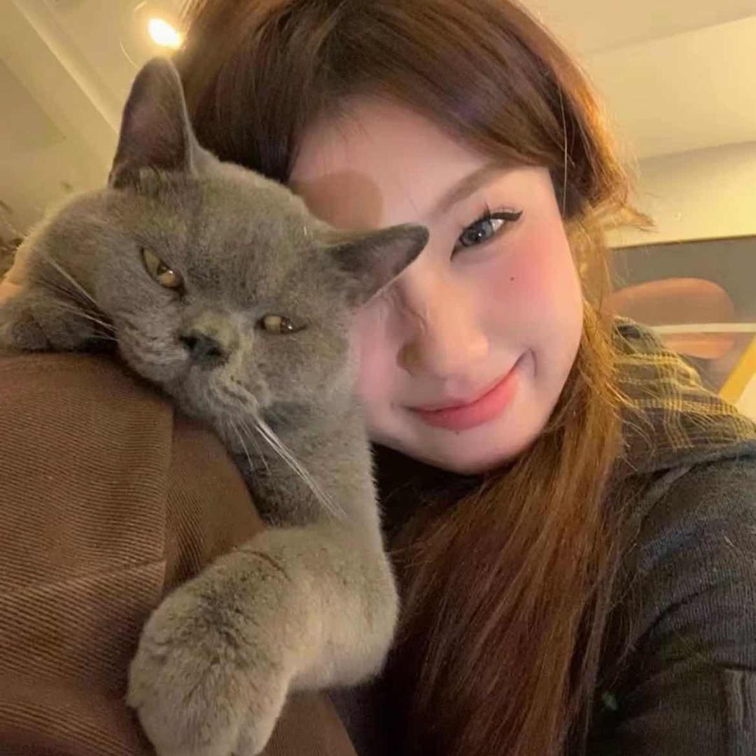 小y-