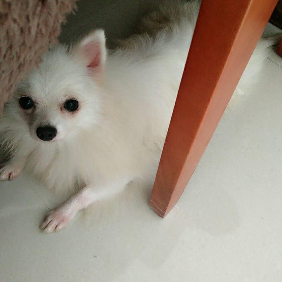 ༺ༀ牛👣宝ༀ༻