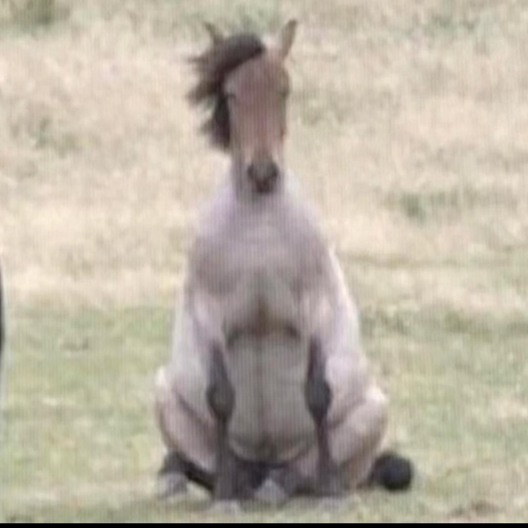 韩韩_