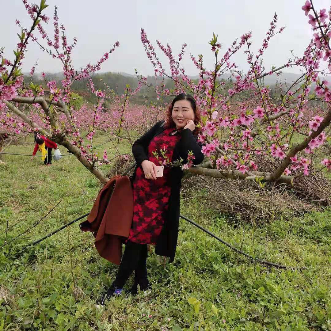 龙凤呈祥《杨》