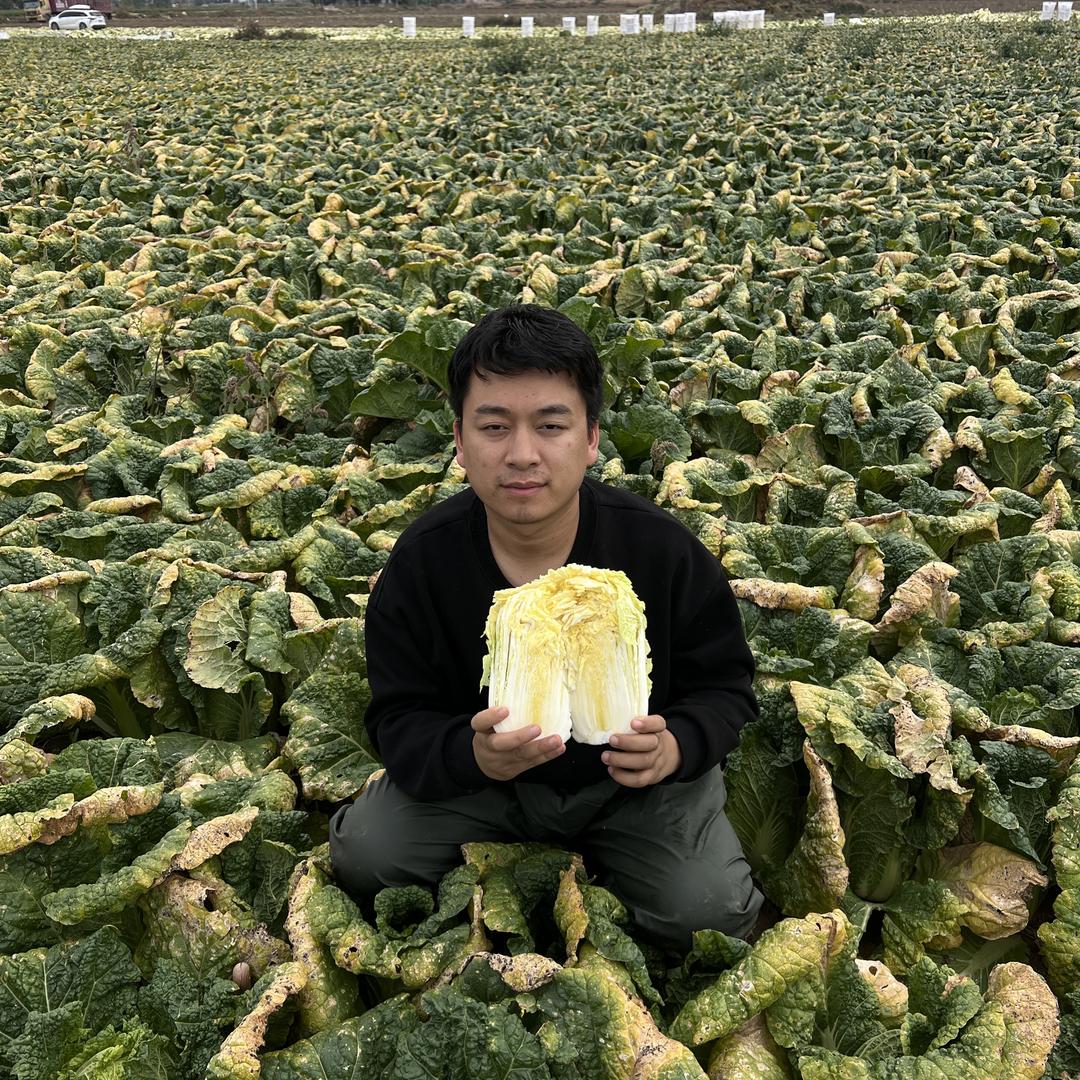 小辉绿色农场(每晚上七点直播)