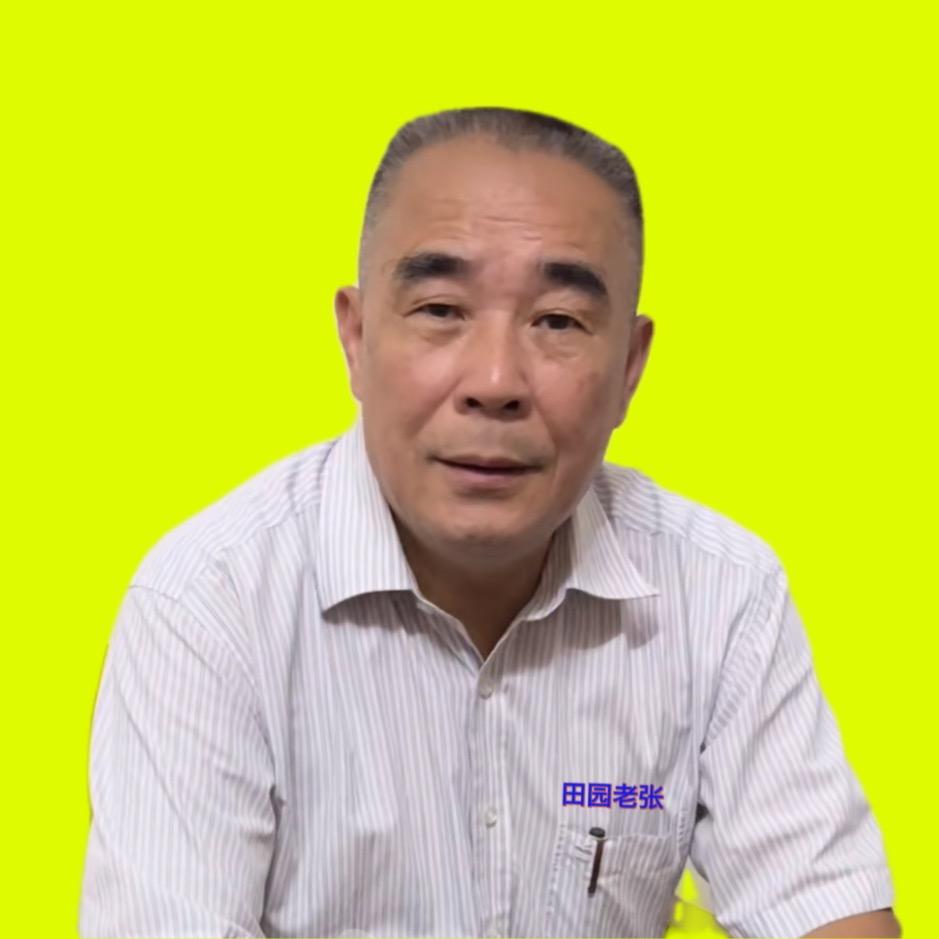 田园老张