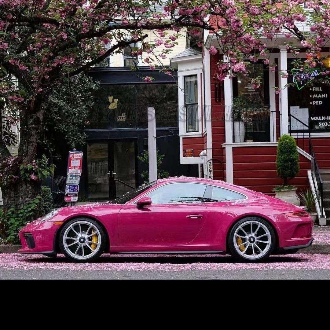 青春献给了PT床