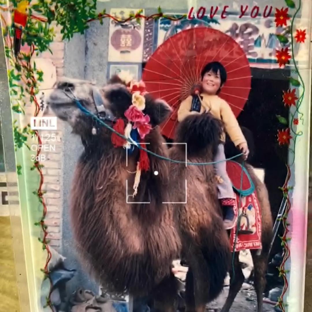张真🍗在郑州