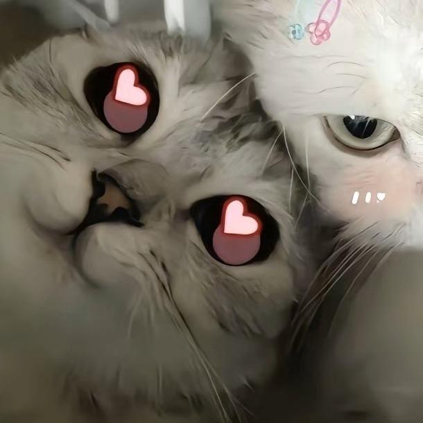 lqd