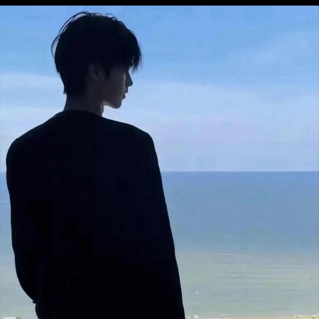 揽一片星河✨