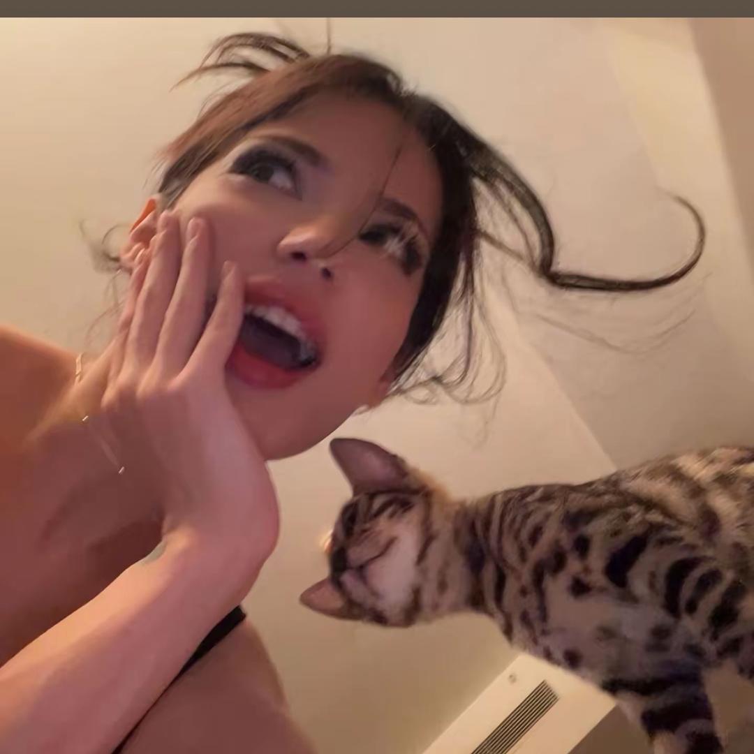 🧚🏻‍♀️🐑