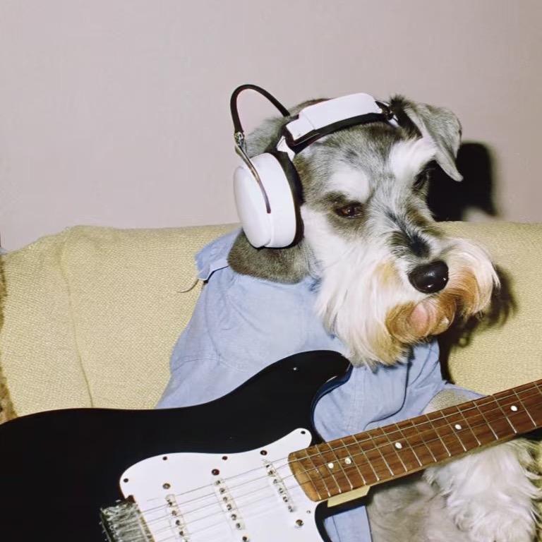 夏夏吉他教室🎸