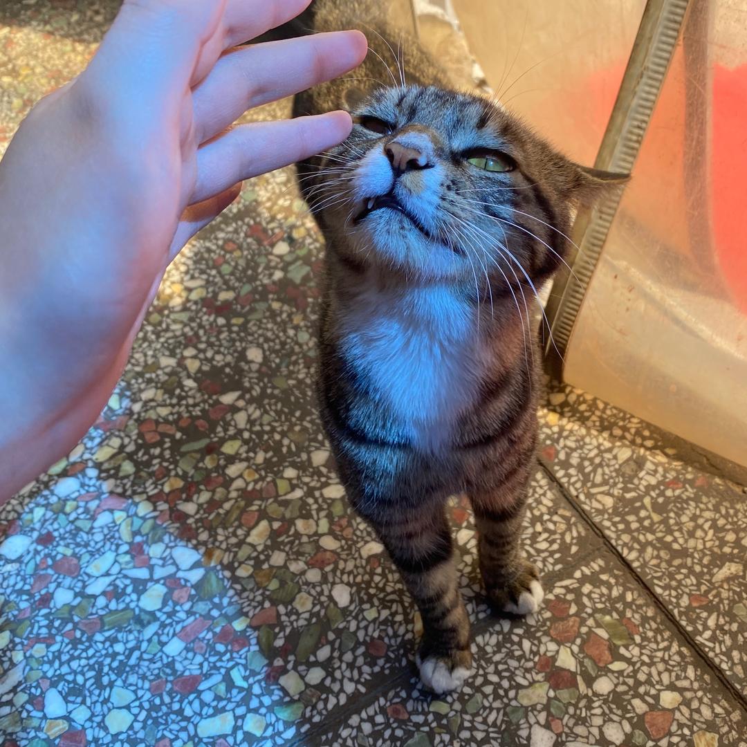你是否