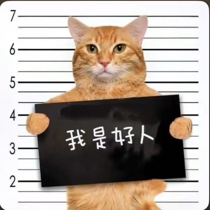 今晚不见你