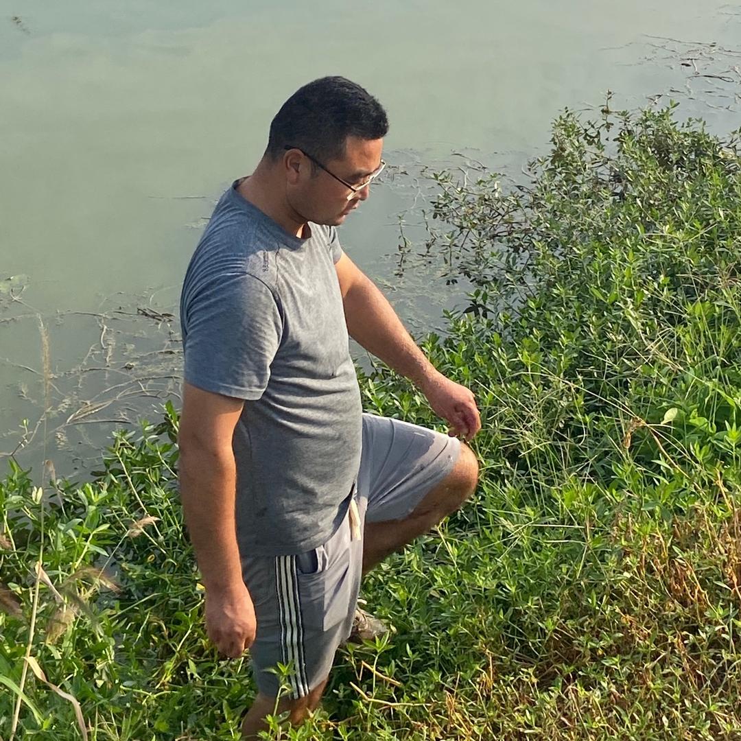 宝应胖哥大闸蟹