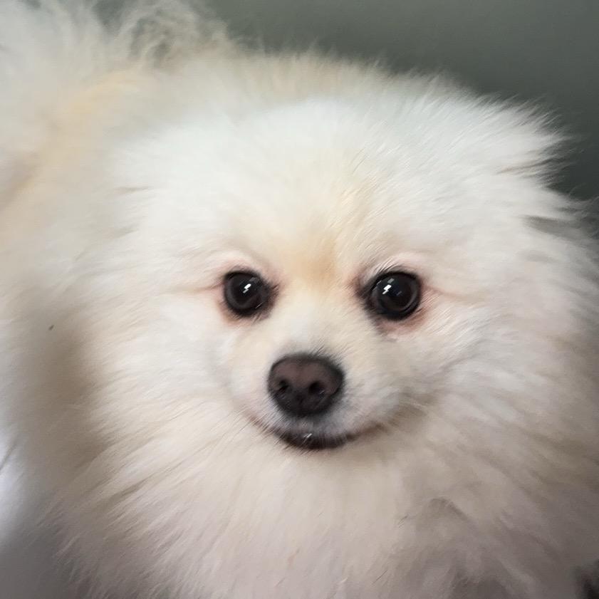 开业大吉