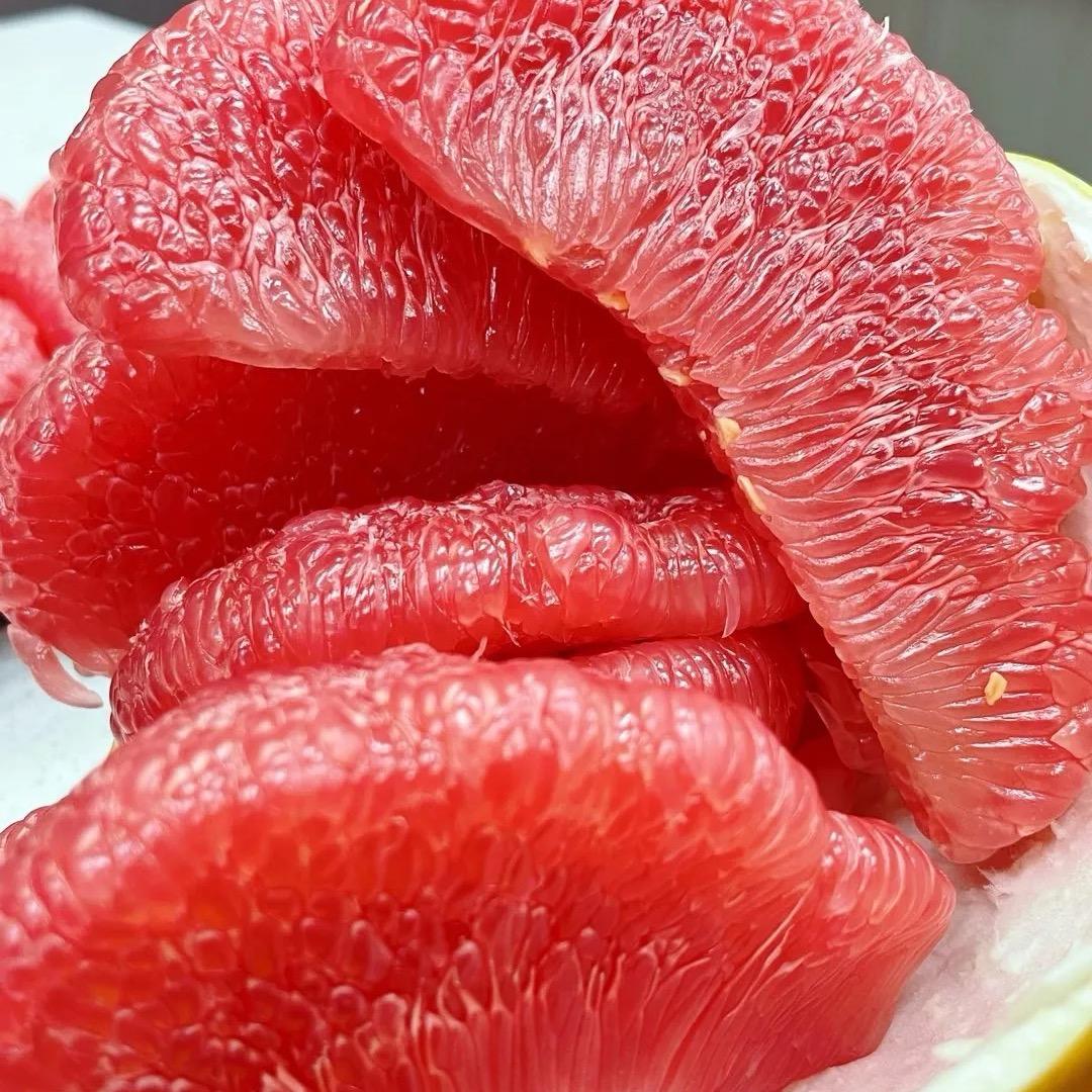唐僧用飘柔