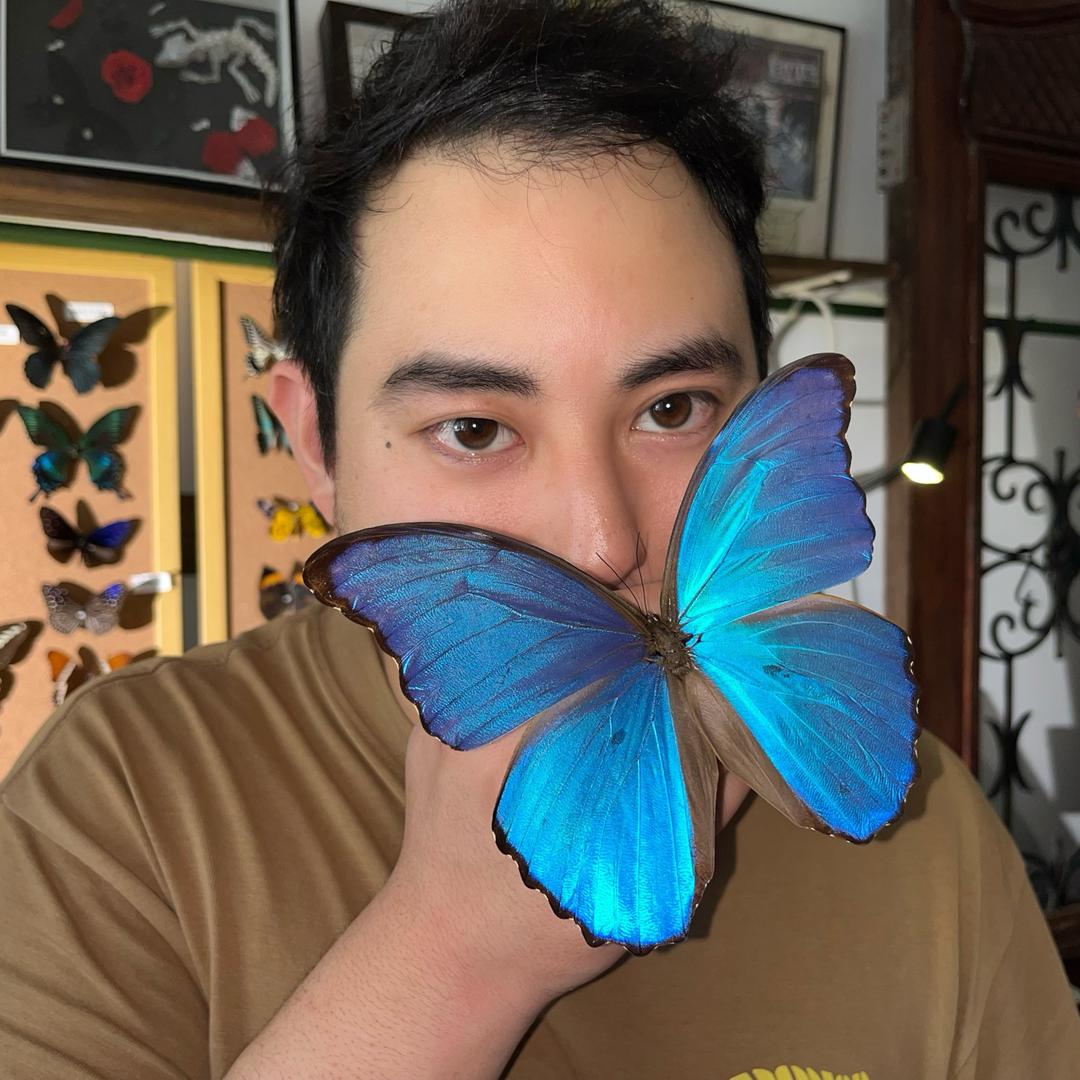 庄生梦蝶