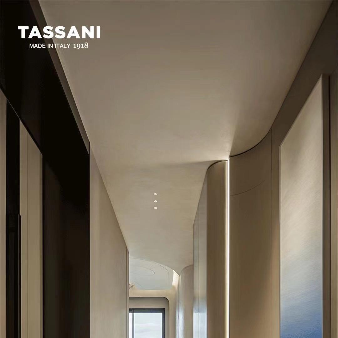 意大利塔萨尼艺术涂料（居然之家武昌店）